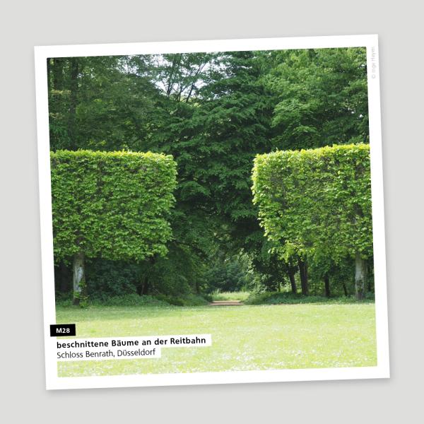 Reitbahn im Schlosspark Benrath,, Ursprungsfoto für Reality Pattern M 9