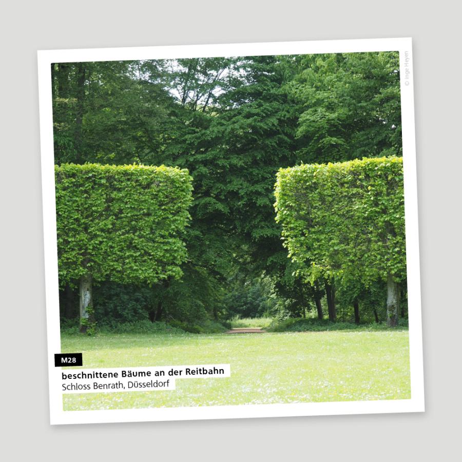 Reitbahn im Schlosspark Benrath,, Ursprungsfoto für Reality Pattern M 9